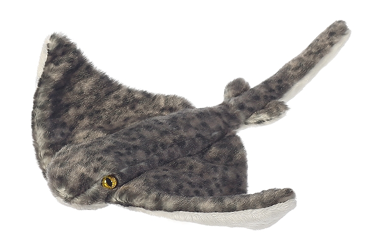 8" Spotted Stingray 2
