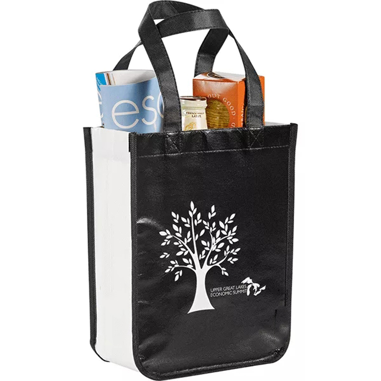 Non-woven Bag 1