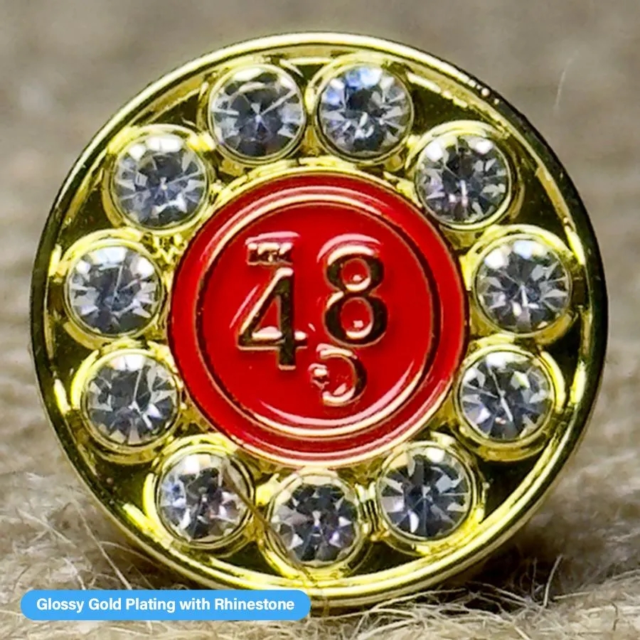Rhinestone Pin 16