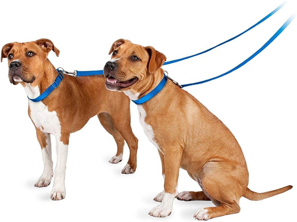 Nylon Dog Leash 5