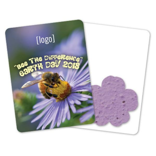 Mini-Gift Pack 21