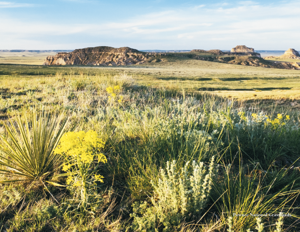 HotLine® Products Colorado Collection 19