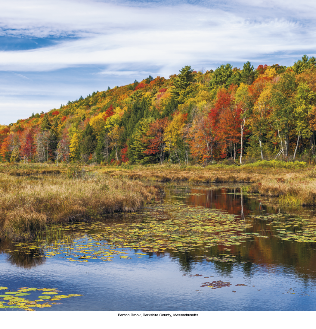 HotLine® Products Scenic America® Executive 34