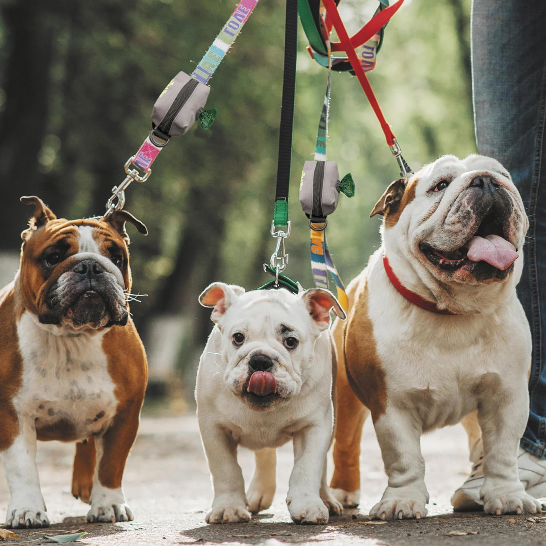 Portable Dog Poop Bag Holder 2