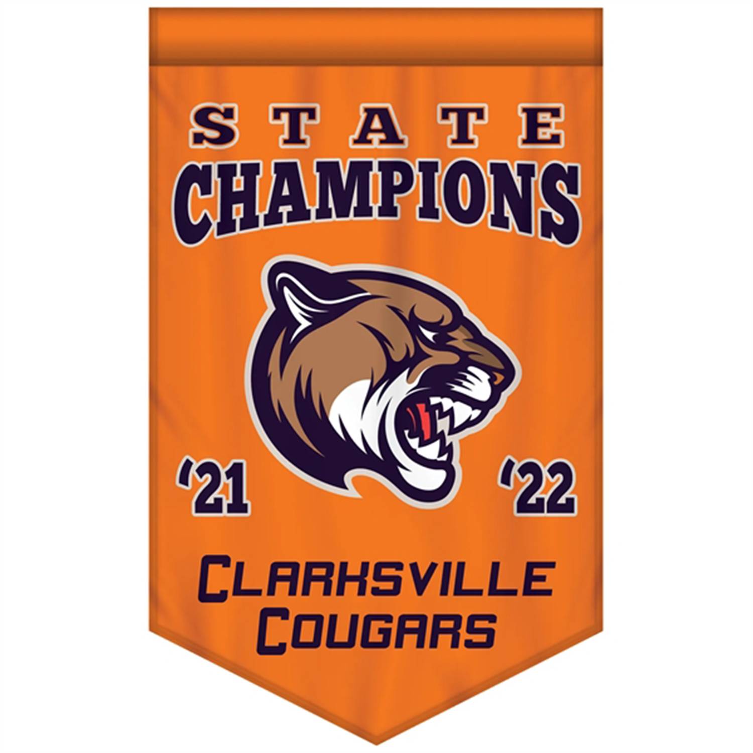 Championship Banner Double Sided V-Cut 4