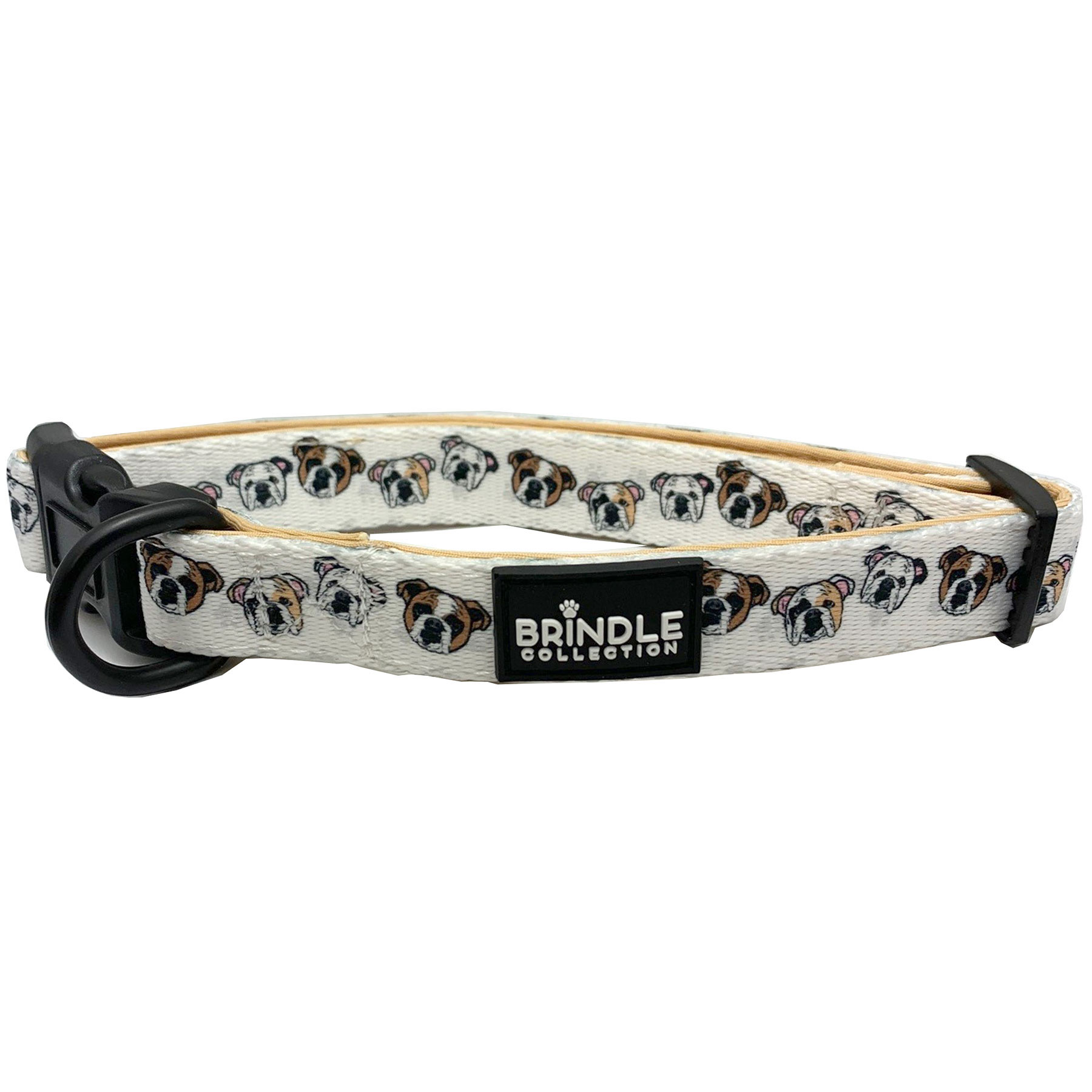Dog Collar With Neoprene Backing: Small