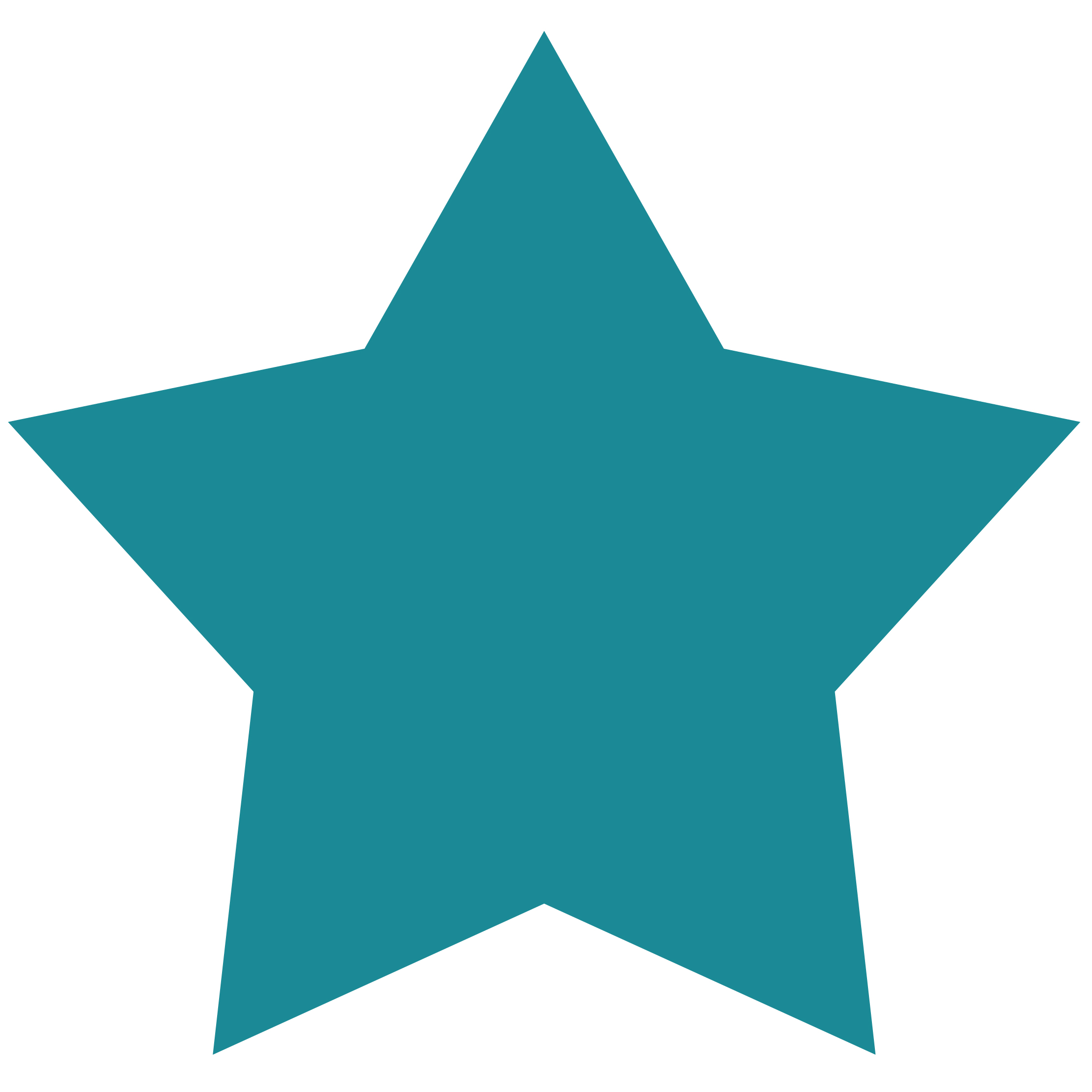 Star Shape 14
