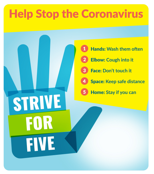 Good Value™ 20 Mil Large Stock Shape Magnet 10