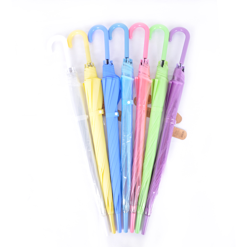 Transparent Umbrella 1