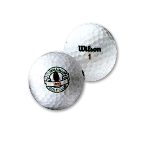 12 Pack White Golf Balls