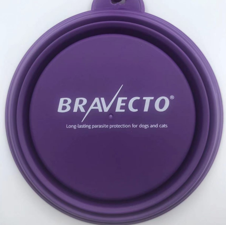Collapsible Pet Bowl with Carabiner 3