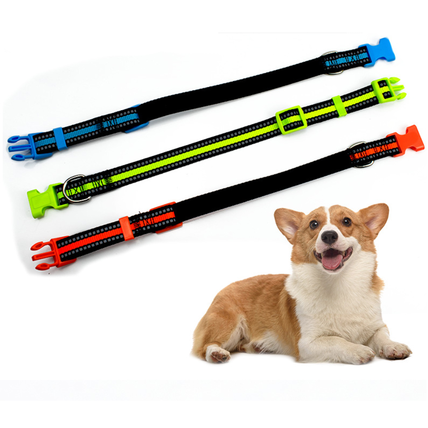 Pet Training Collar 2