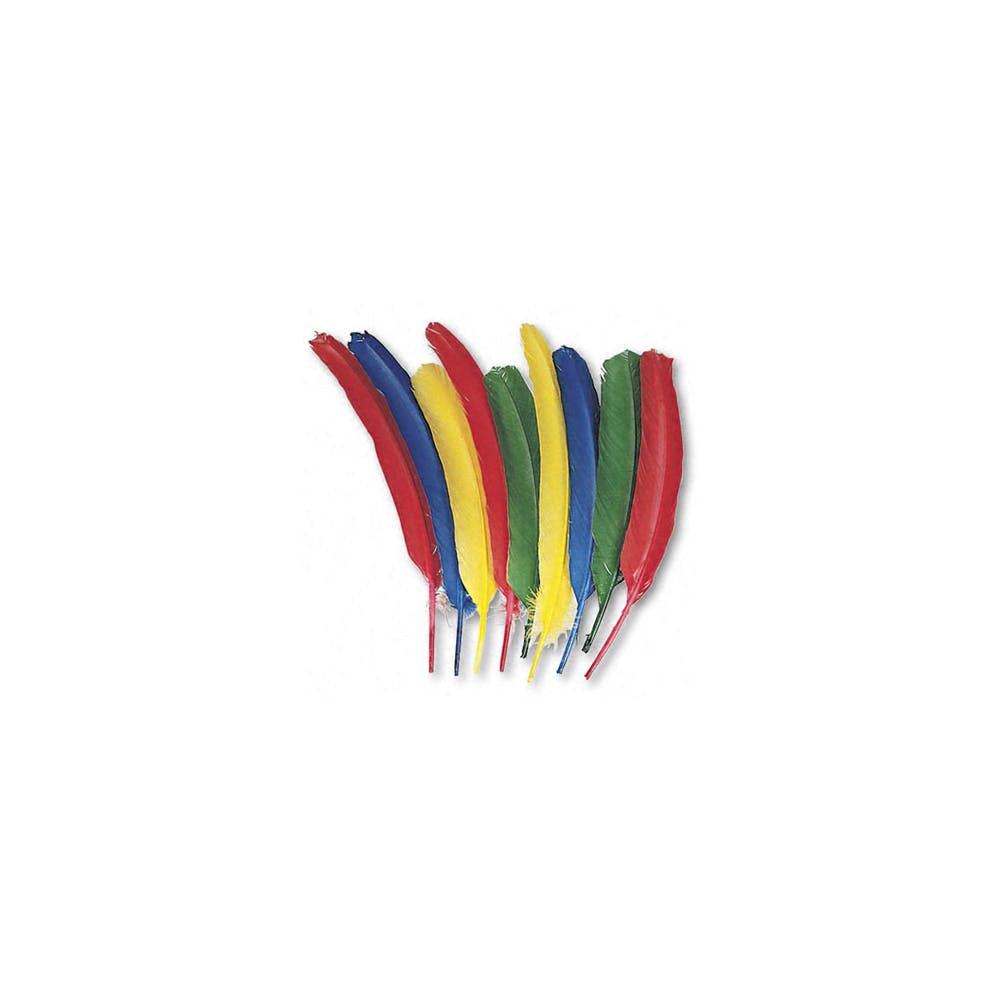Quill Feathers - 4 Colors 12" 2