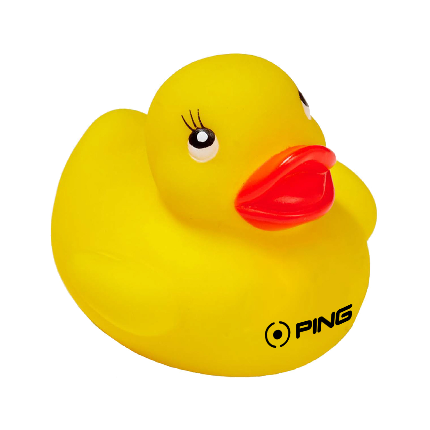 Colorful Duck 10