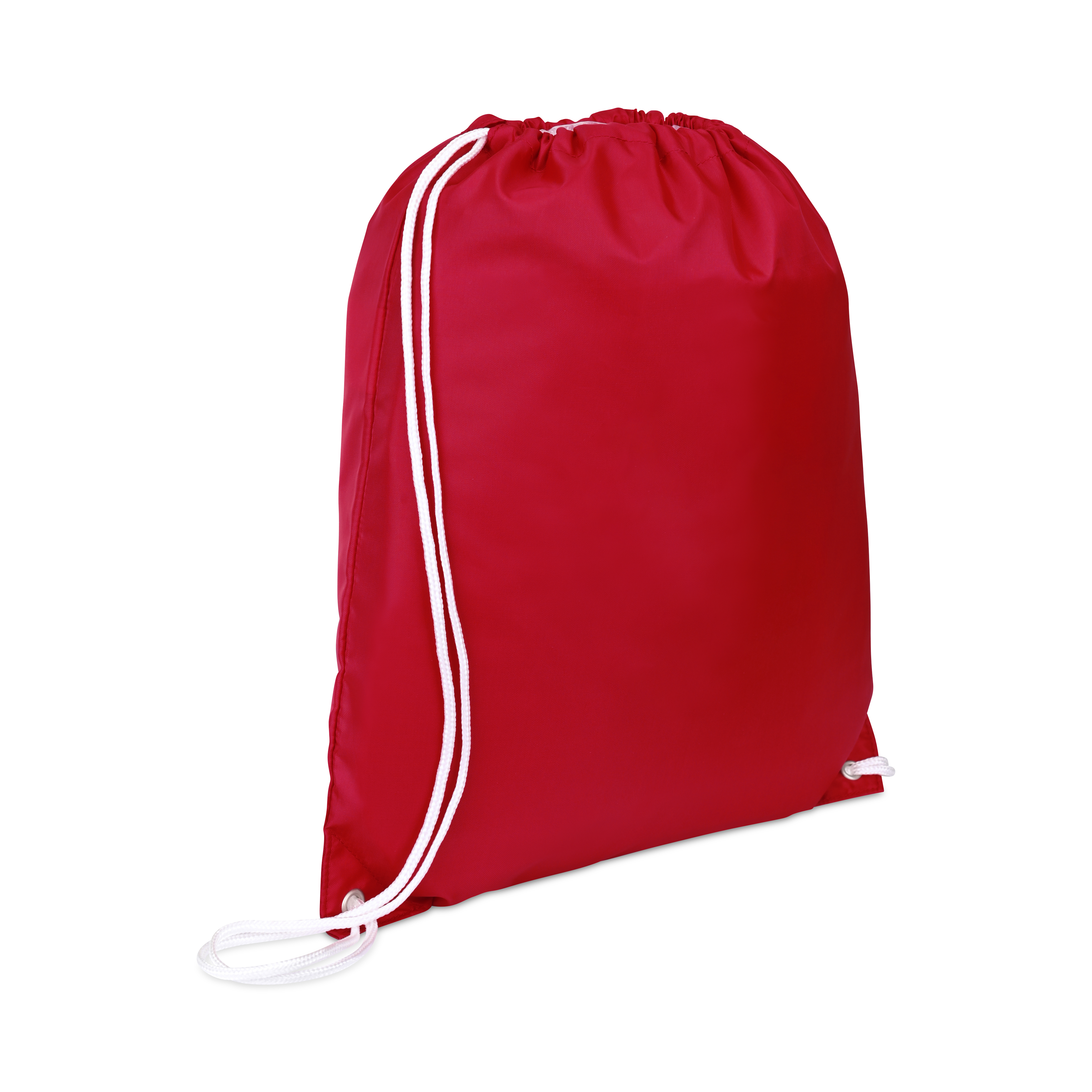 Arlo Recycled rPET Cinchpack 13