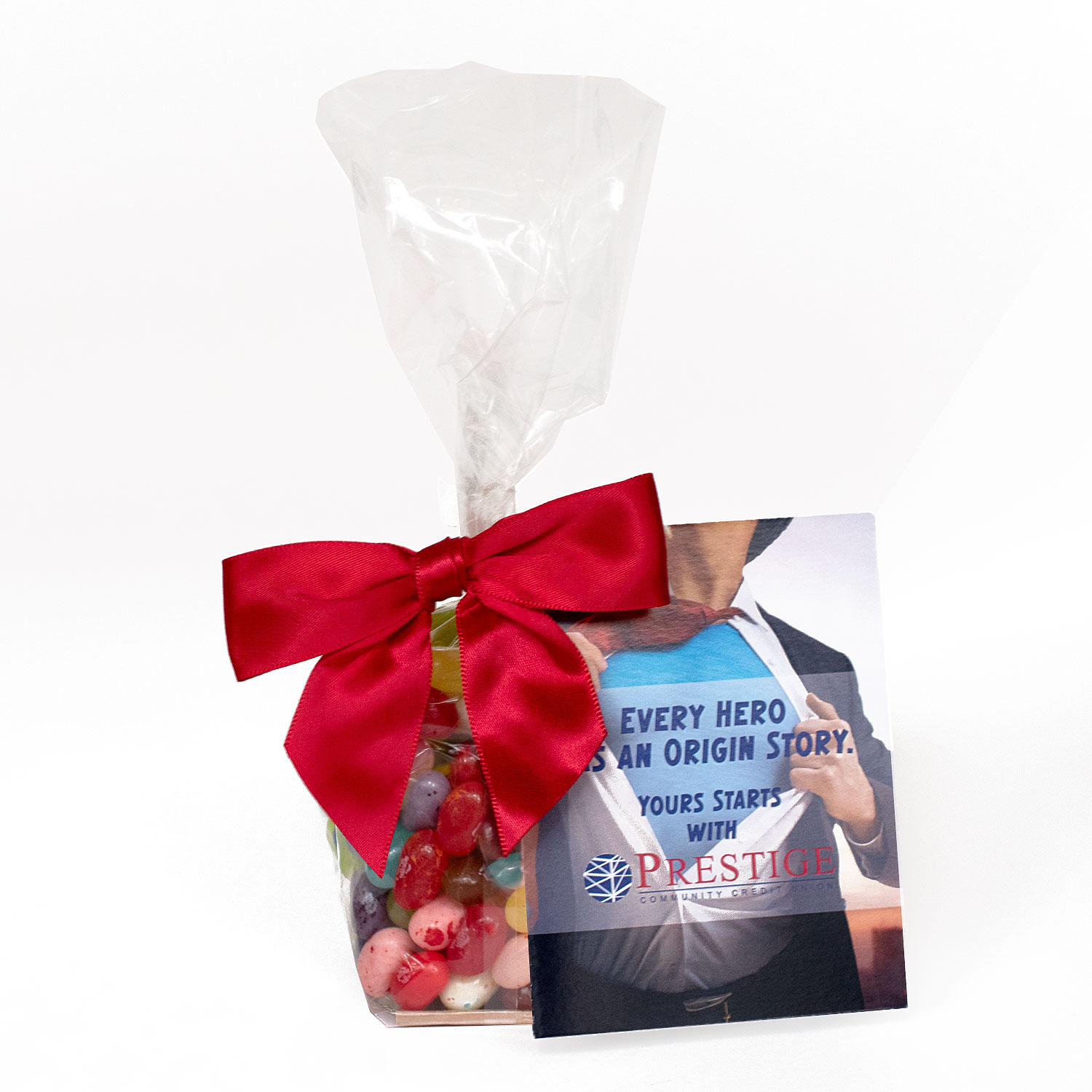 Gift Bag with Printed Card & Rectangle Magnet Premium Fill