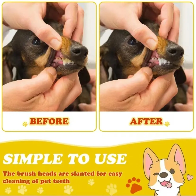 Pet double head toothbrush 2