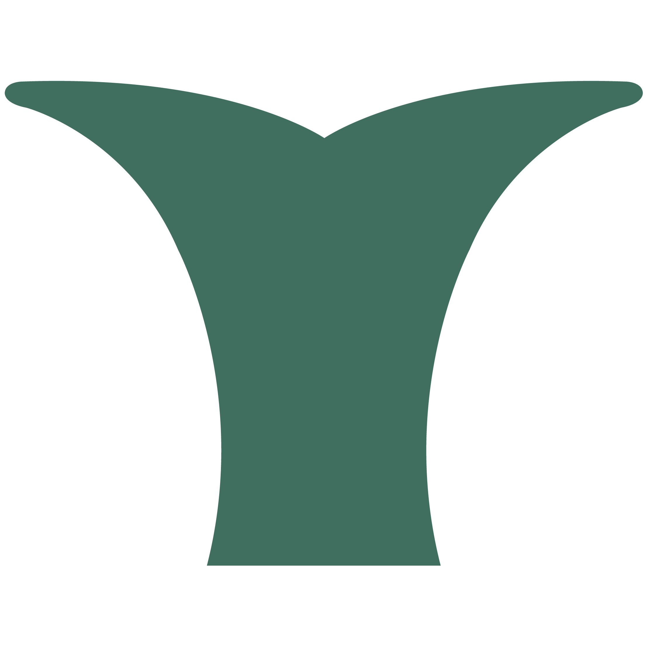Whale Tail 16