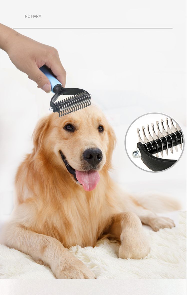 Pet Grooming Bush 4