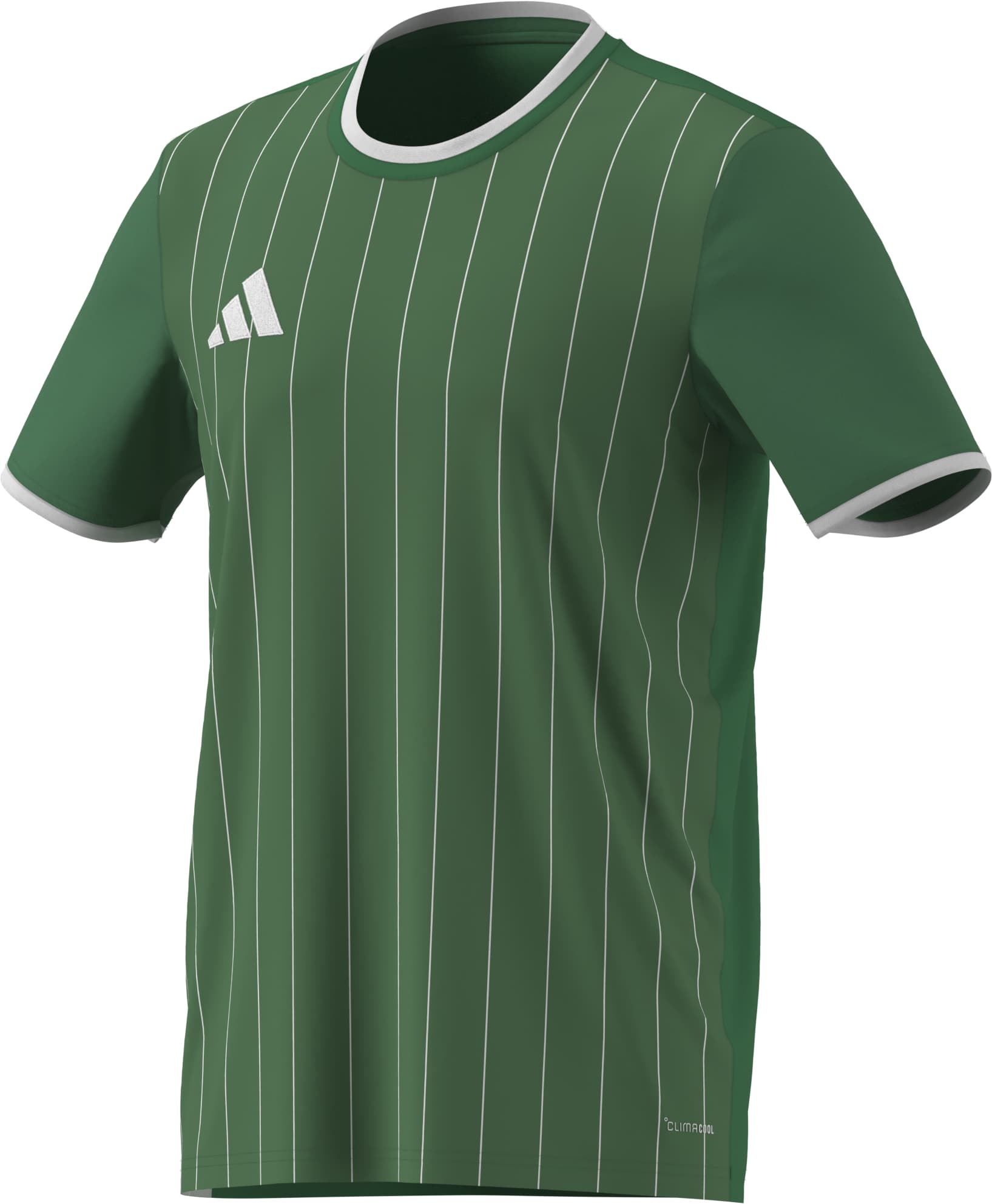 Entrada26 Graphic Jersey 11