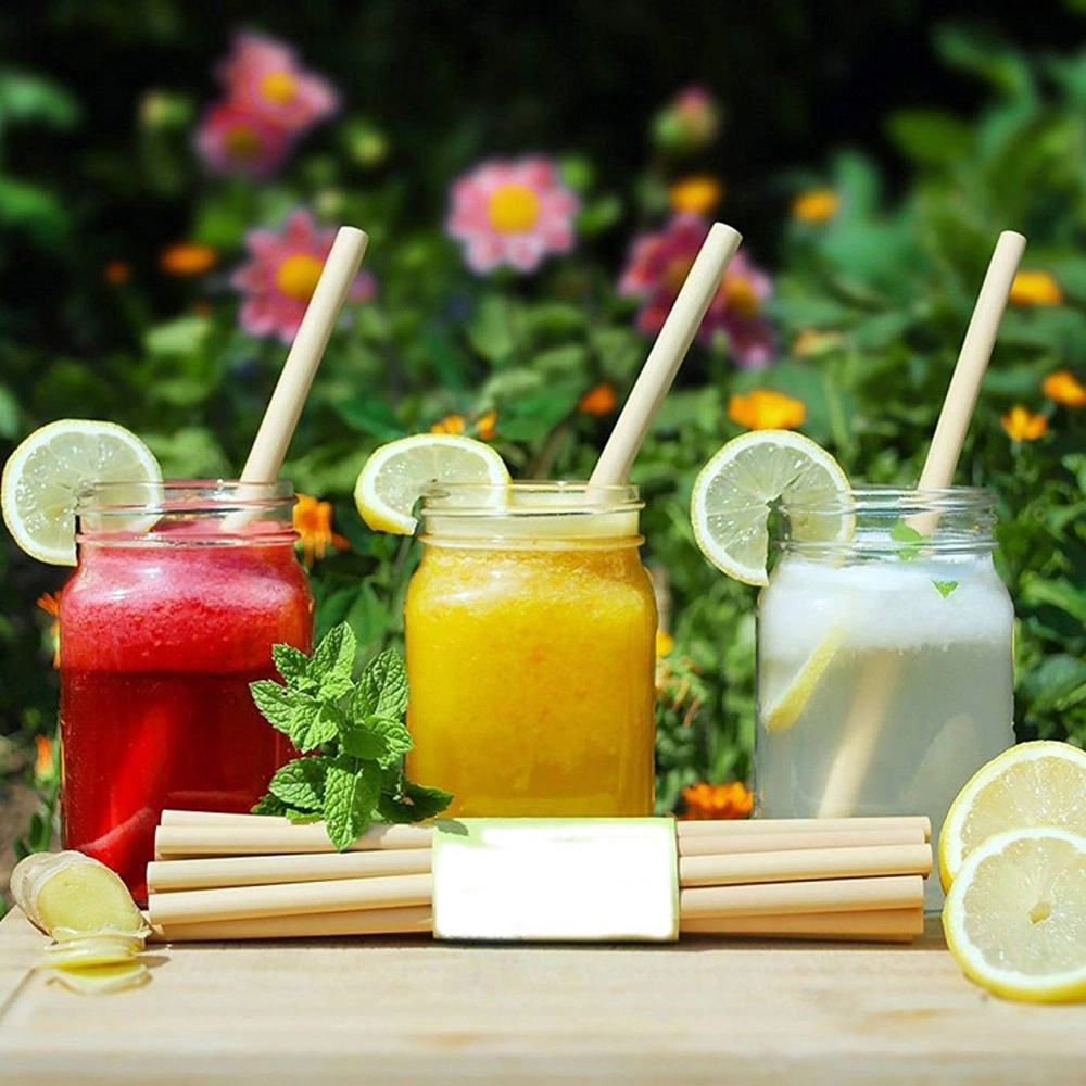 Reusable Bamboo Drinking Straws 1