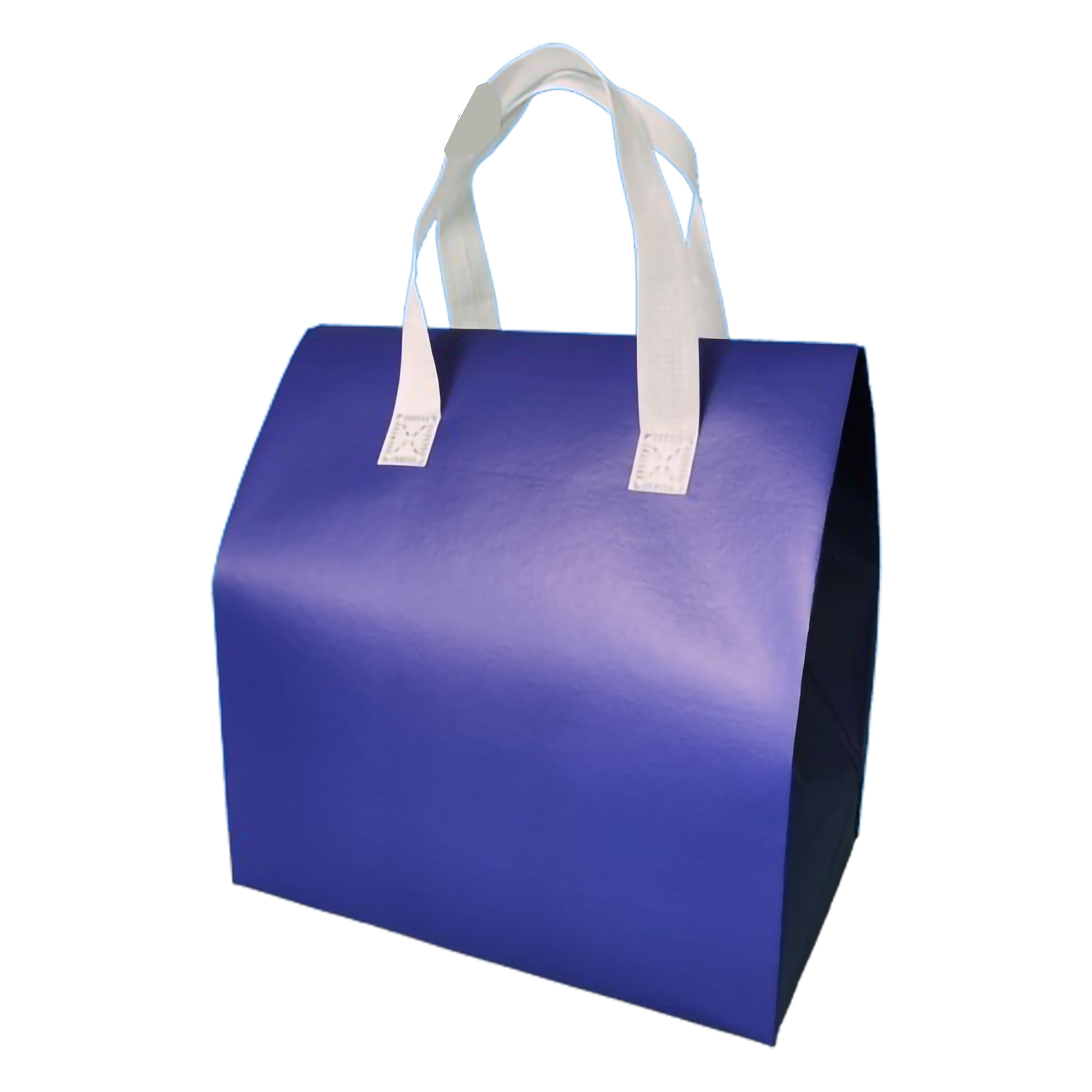 Waterproof Cooler Insulated Tote Bag MOQ50 6