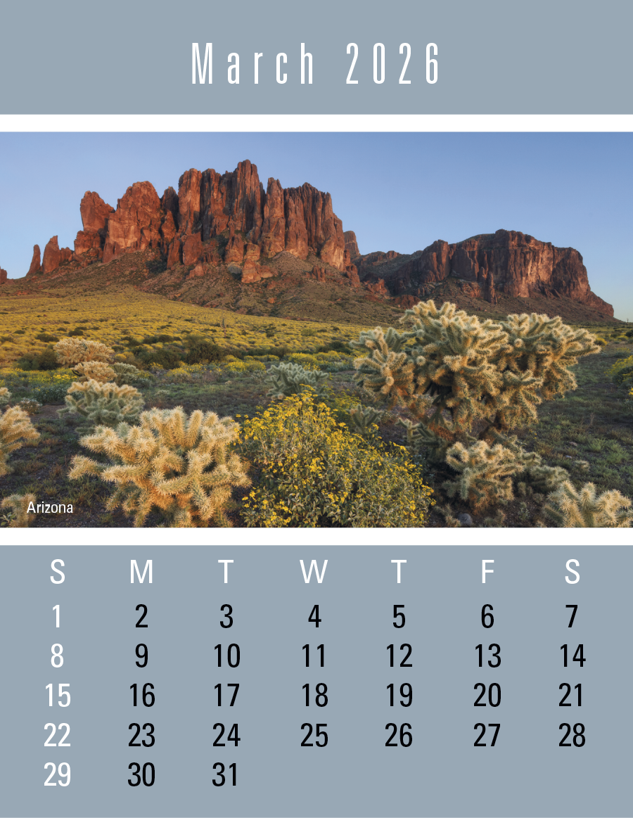 Press-N-Stick Scenic Calendar