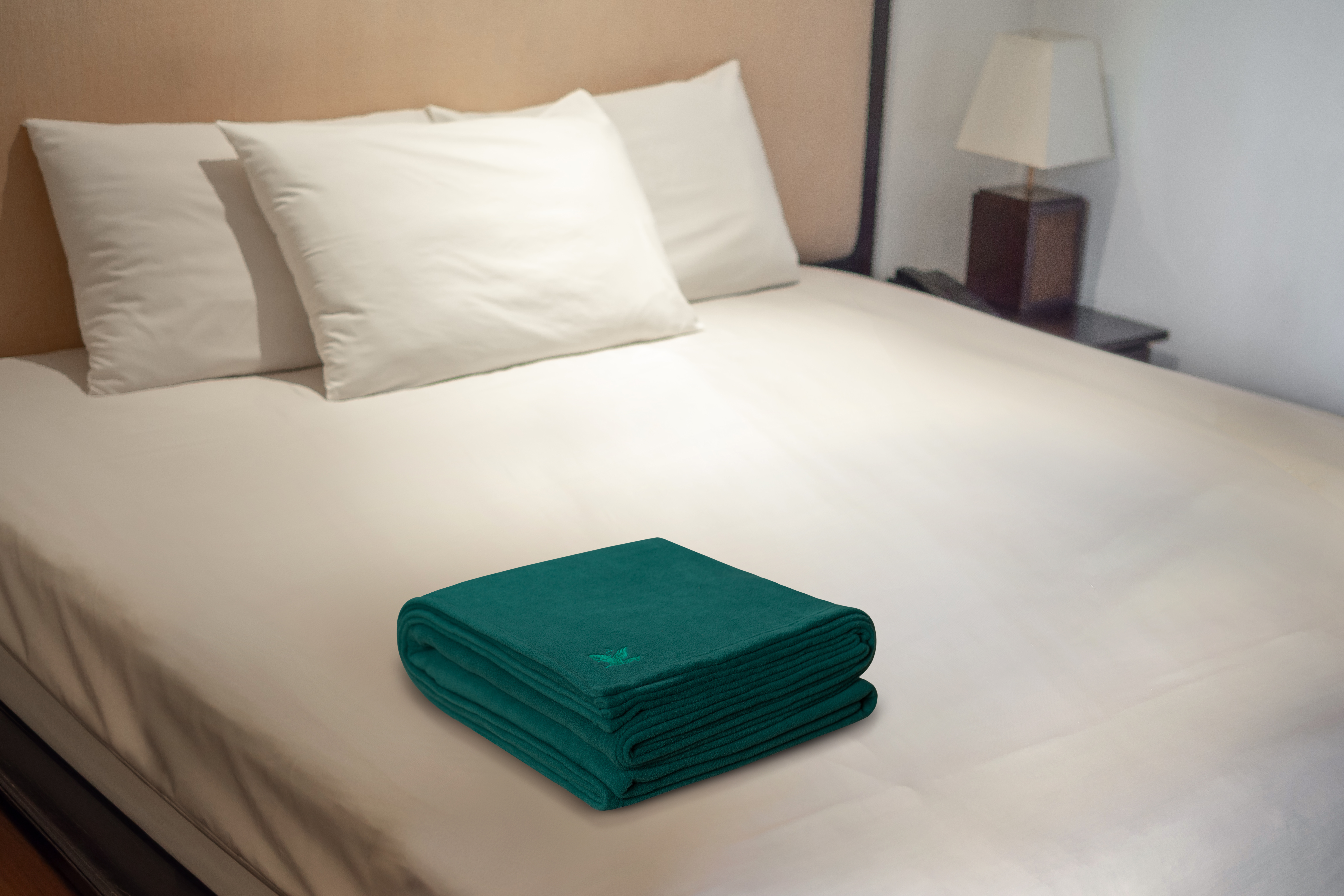 Jade 100% Polyester Antipill Queen Fleece Blanket 2