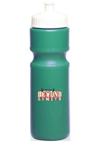 28 oz. Push Cap Plastic Water Bottles 20