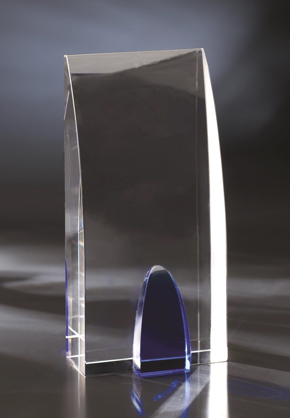 Bolsa Chica Award 4