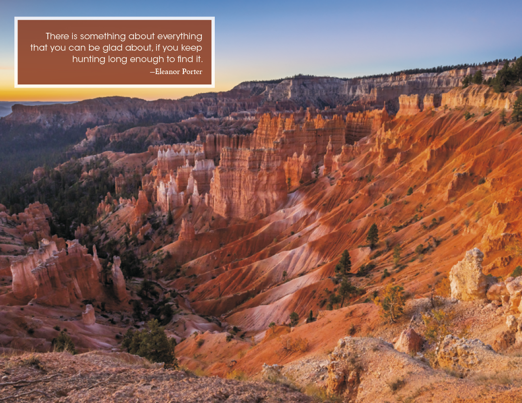 Good Value™ Inspirations for Life - Window Calendar 40