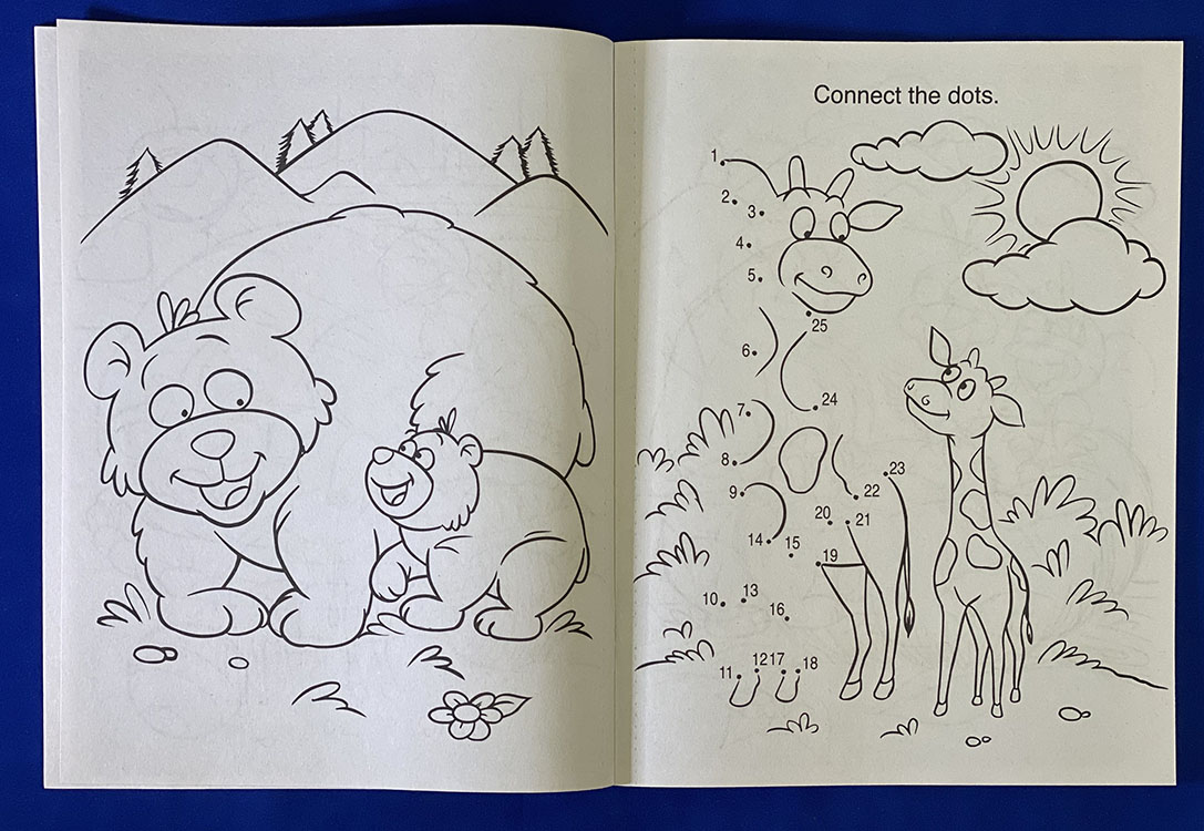 COLORING BOOK - Fun Time Coloring & Activity Book 3