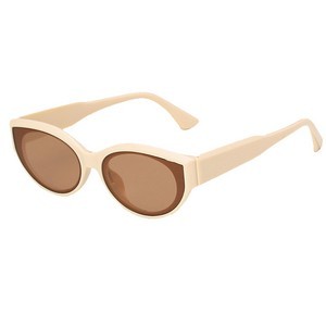 Classic Sunglasses 7