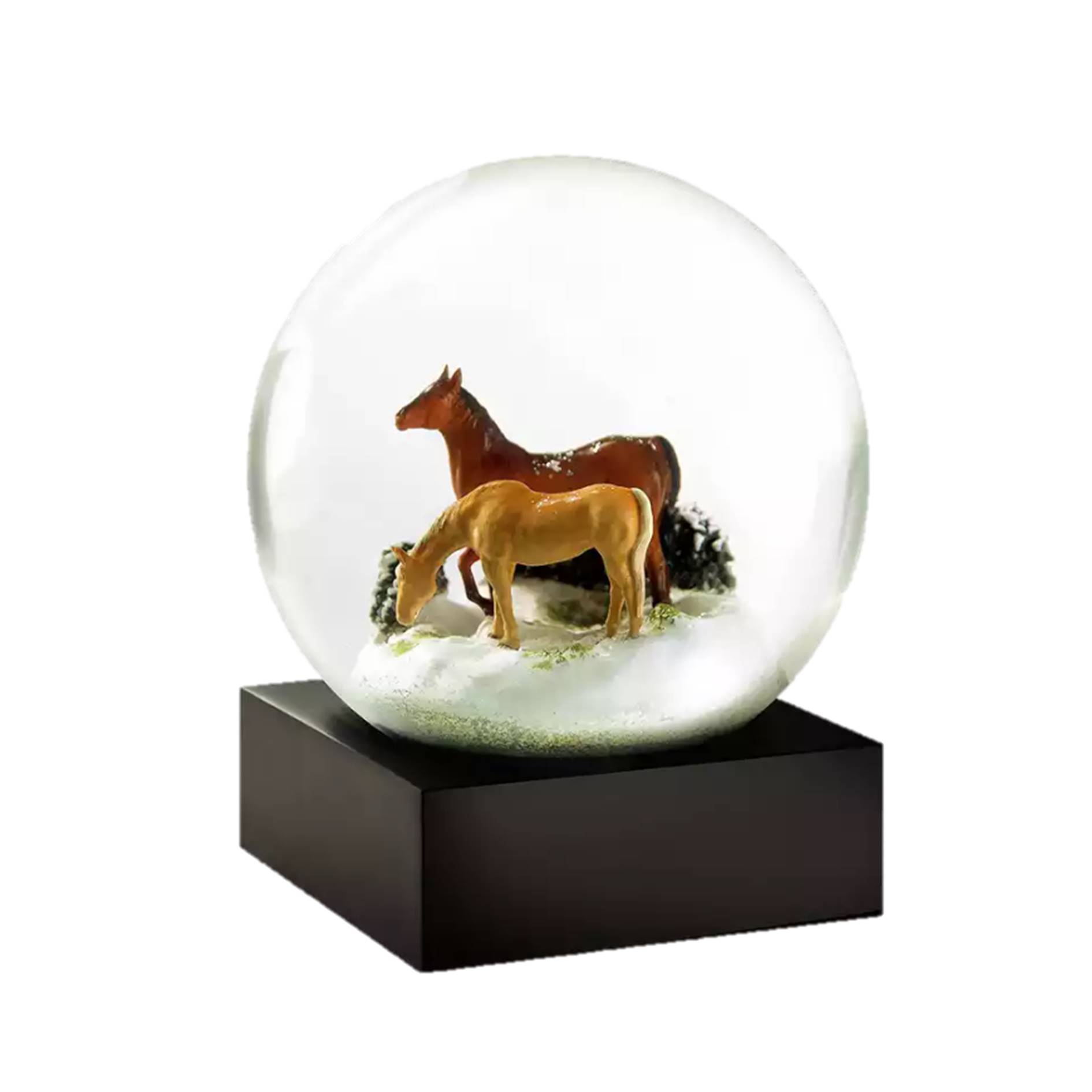 Custom Horse Snow Globe 2