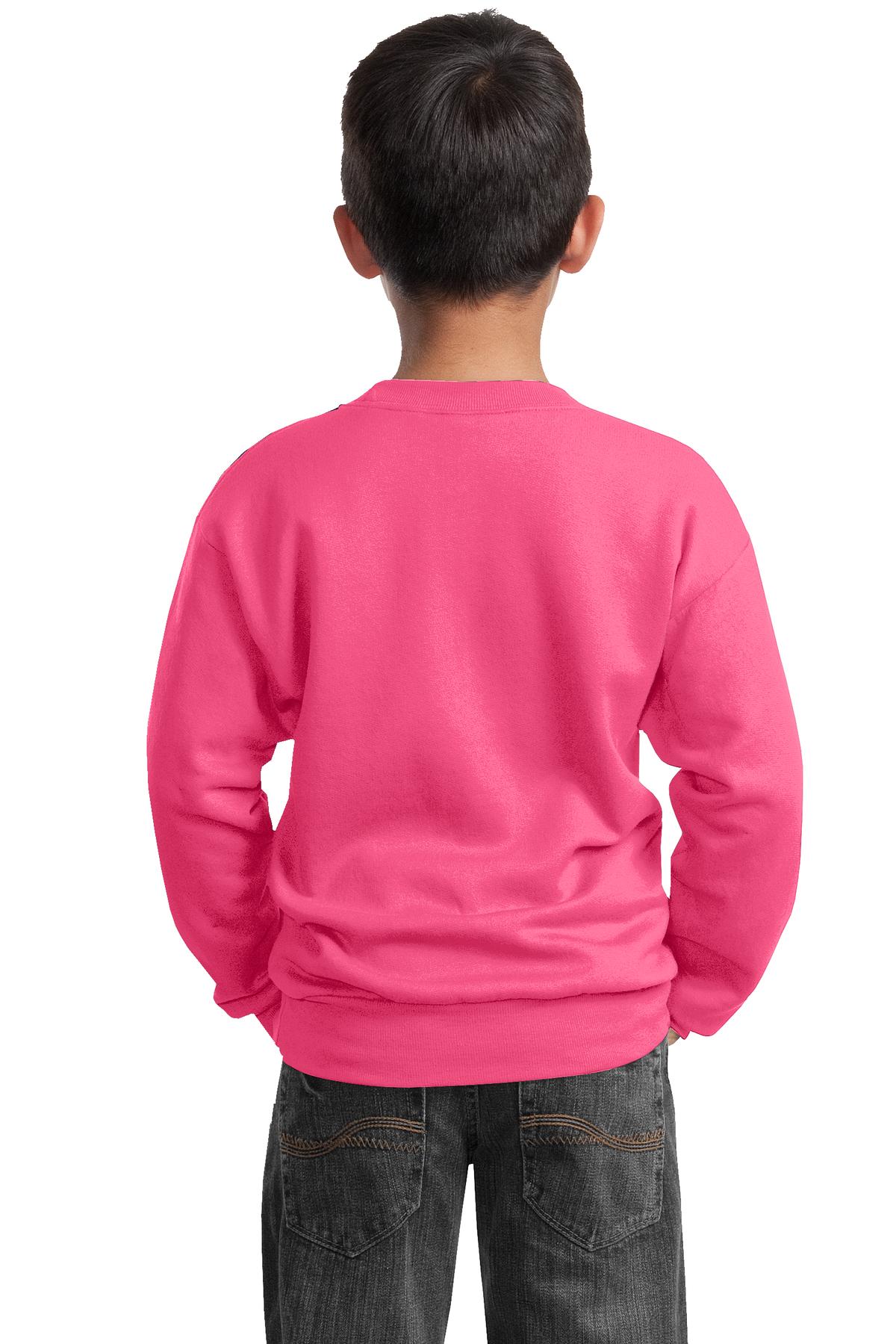Port & Company® Youth Core Fleece Crewneck Sweatshirt 16