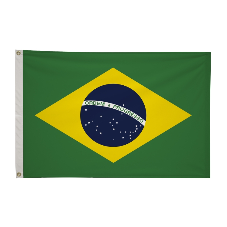 2' x 3'International Flag 64