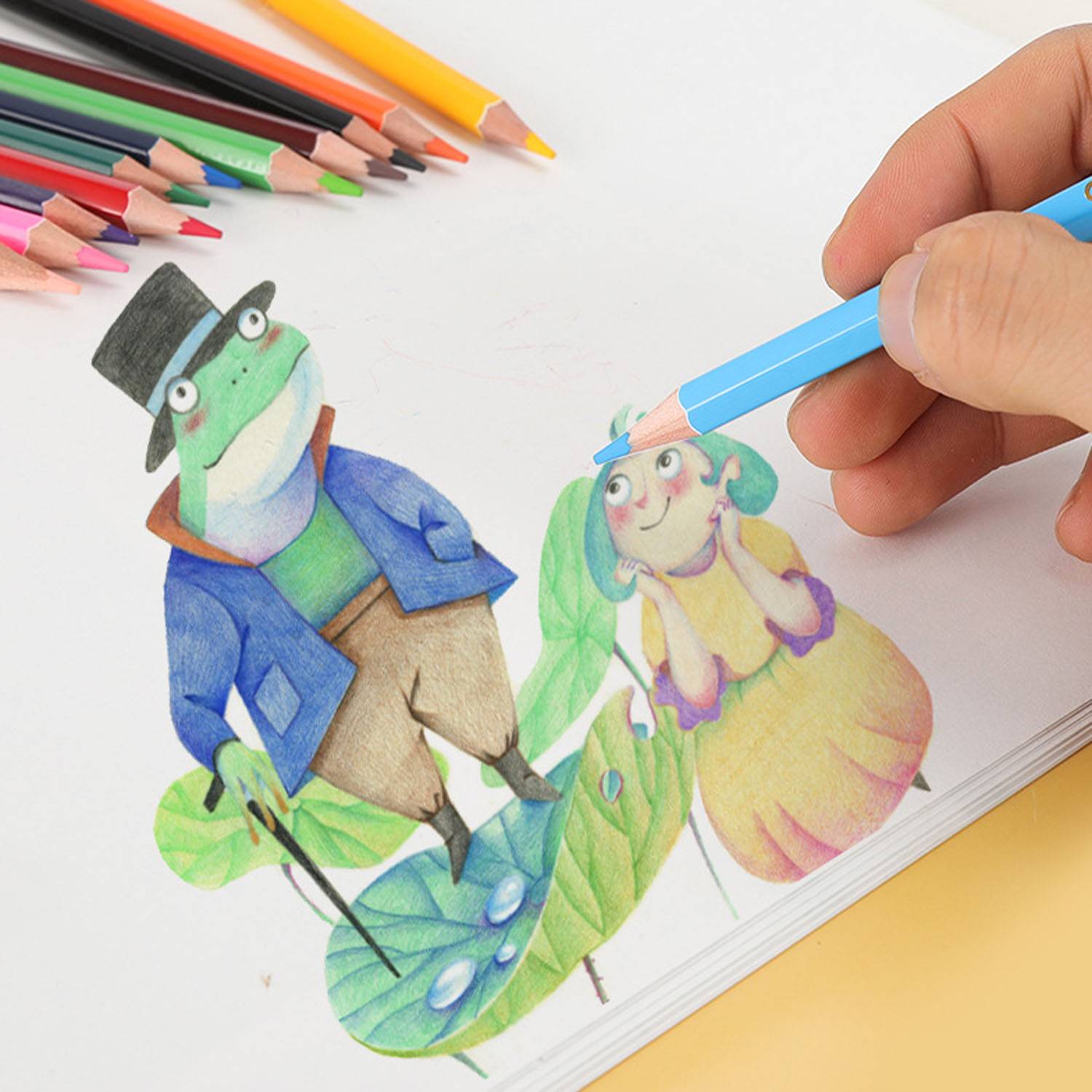 12-Piece Vibrant Artistic Drawing Colored Pencils Set 8