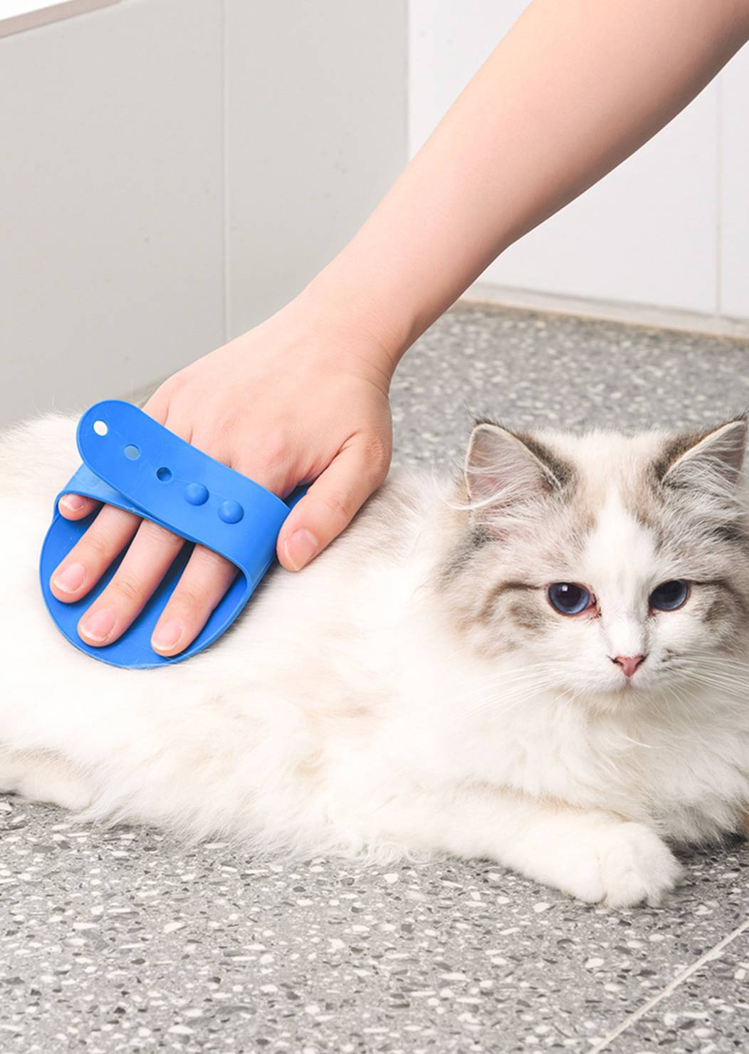 Pet Bath Brush 3