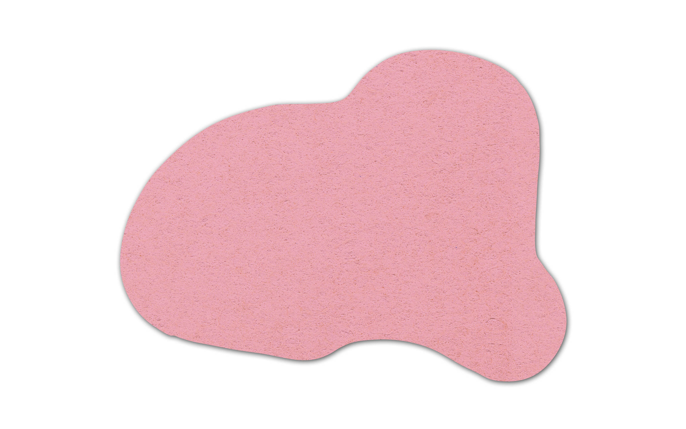 Dog Compressed Sponge 12