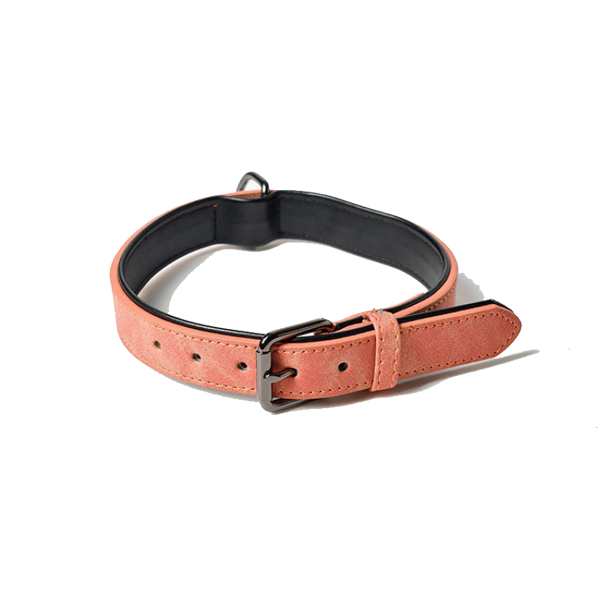 MOQ100 Pet Collar 4