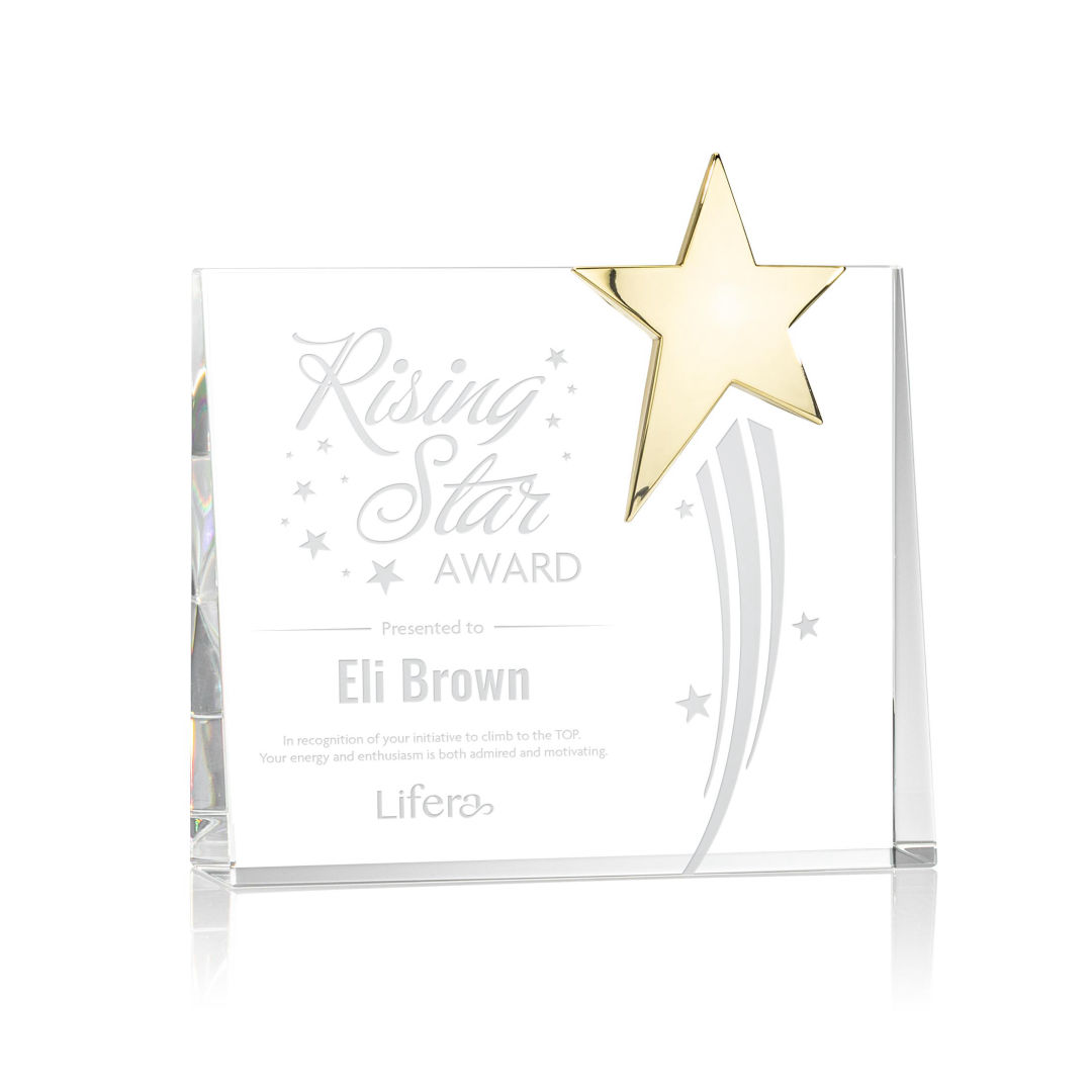Bradenton Gold Star Award 8