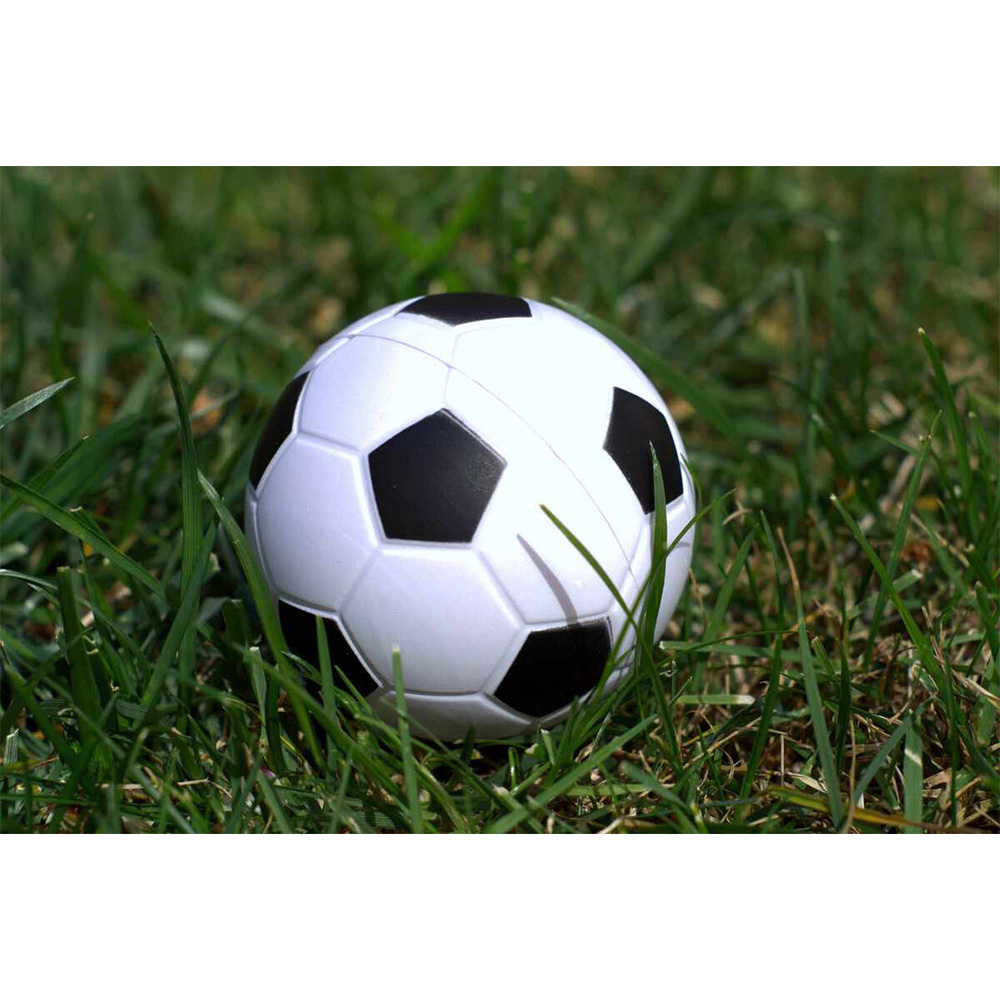Soccer Ball Stress Reliever 5