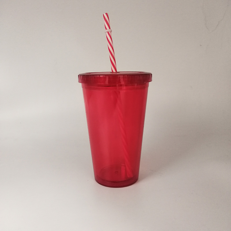 16OZ Double Wall acrylic with Straw Cup 3