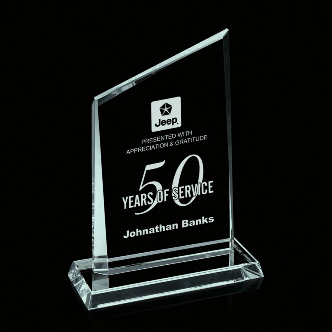 Representative Award - Jade 3