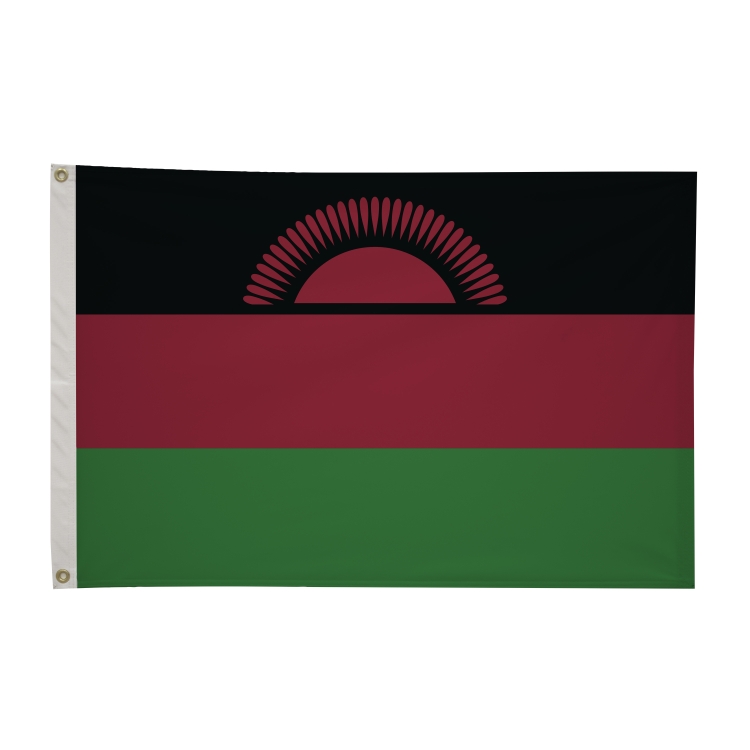 2' x 3'International Flag 112