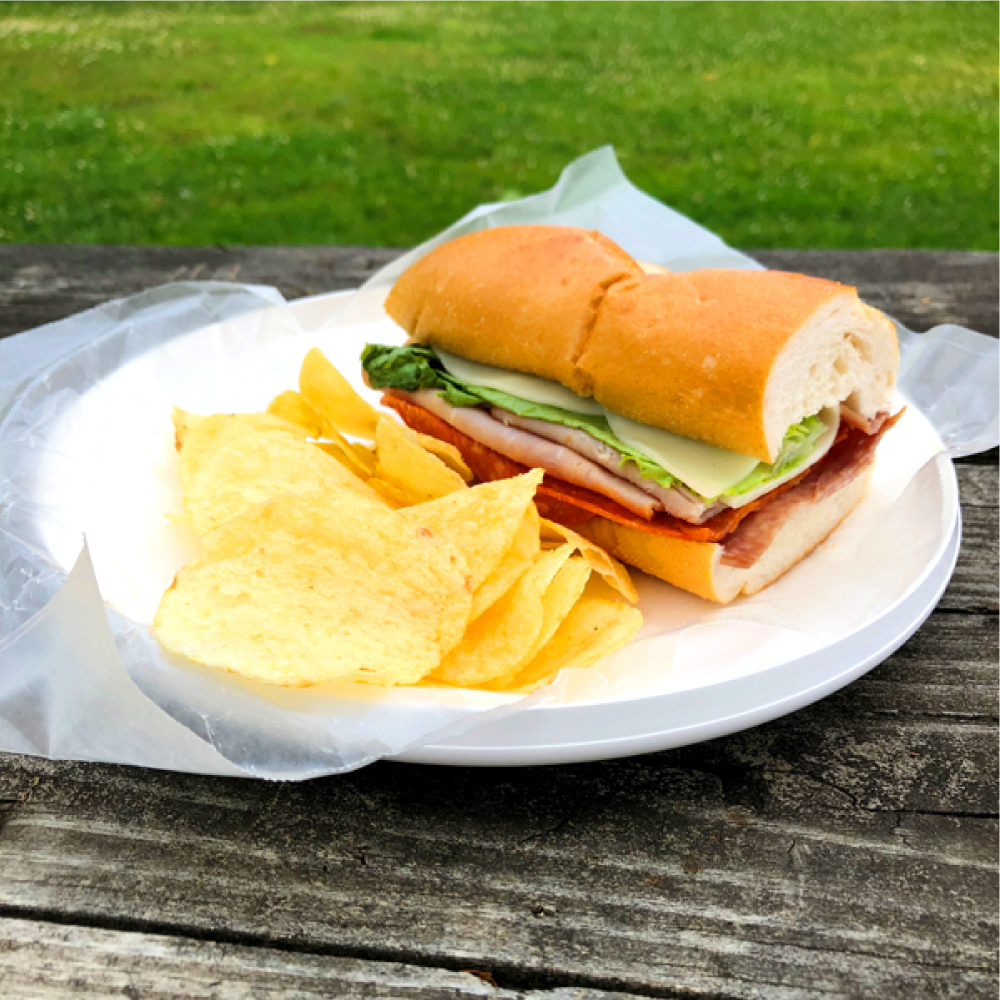 9 25" Flying Disc Plate