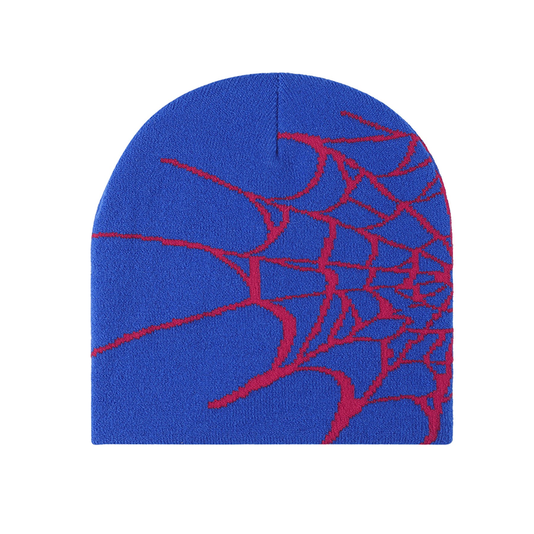 Winter Beanie Hat 3