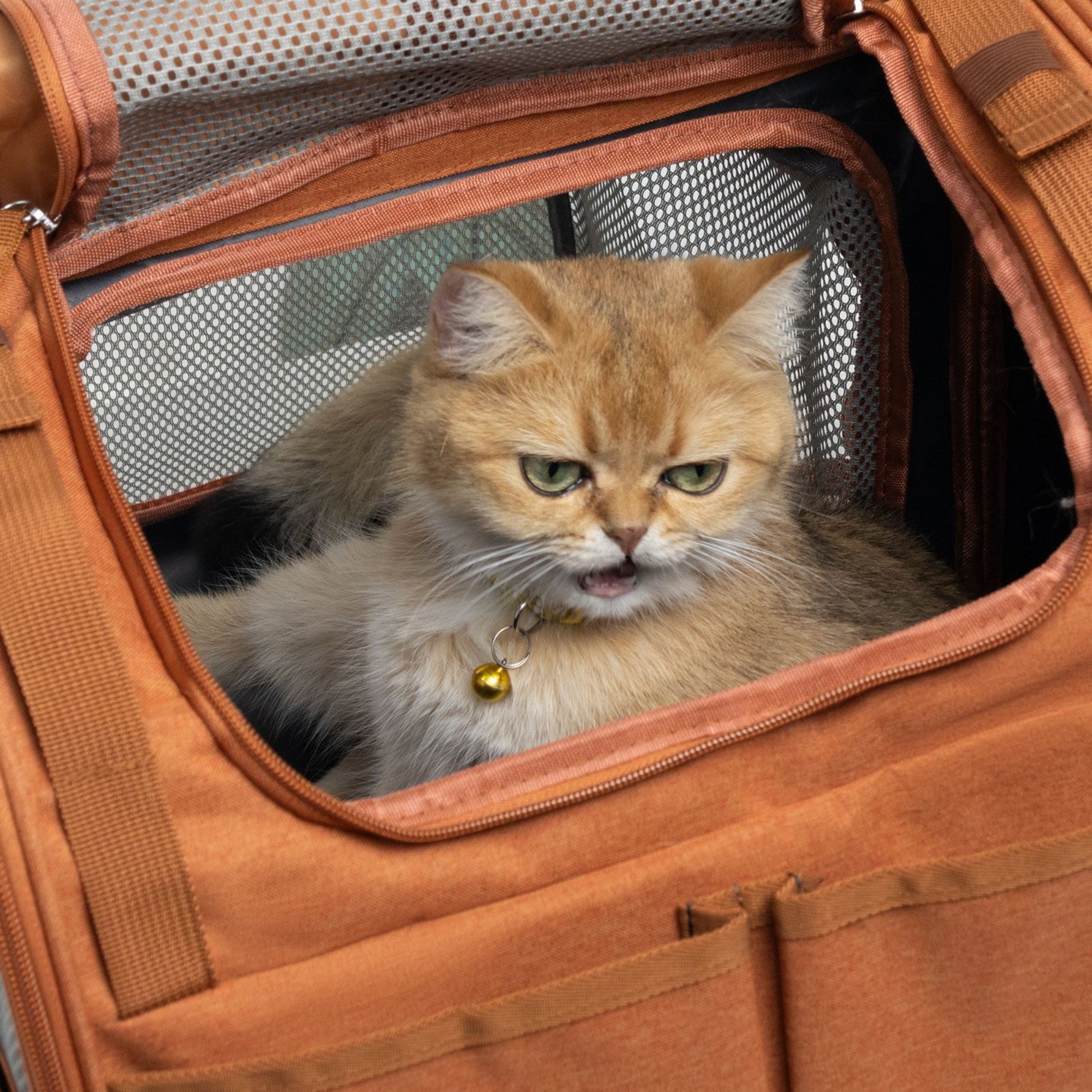 Pet Carrier With Shoulder Straps 7