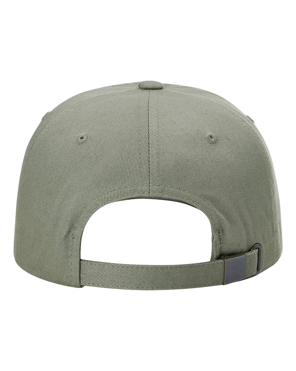 Sustainable Ashland Dad Hat - 254RE 1