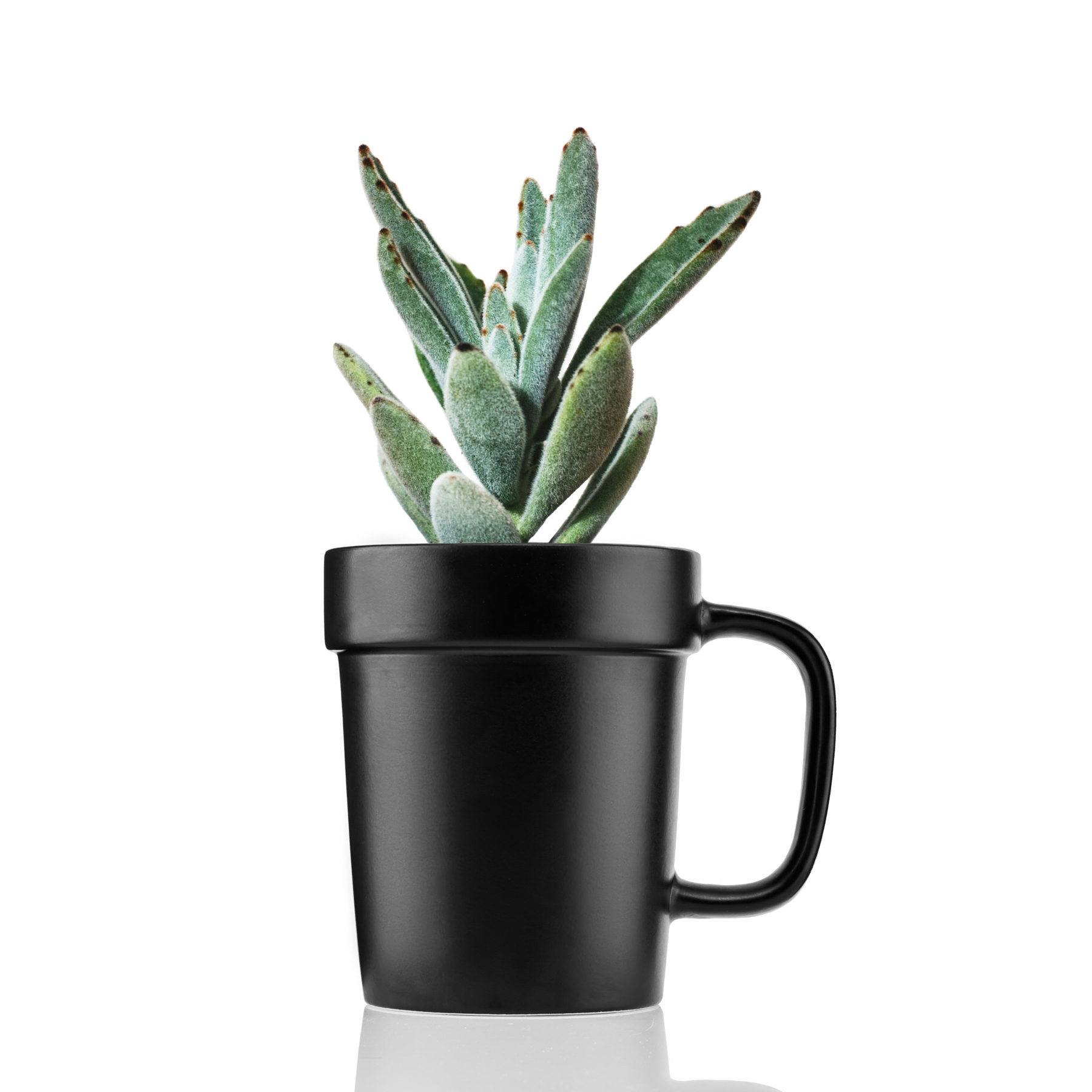 16 oz Planter Mug 21